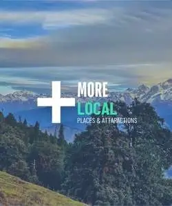 many more local attractions