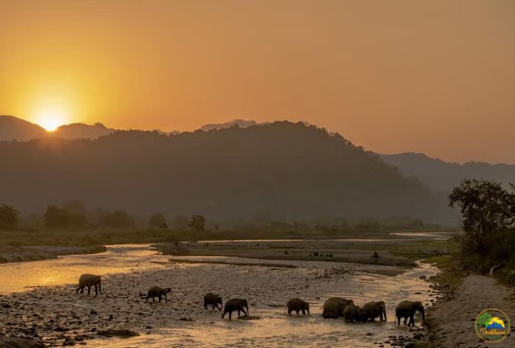 haridwar mussoorie chopta auli tour